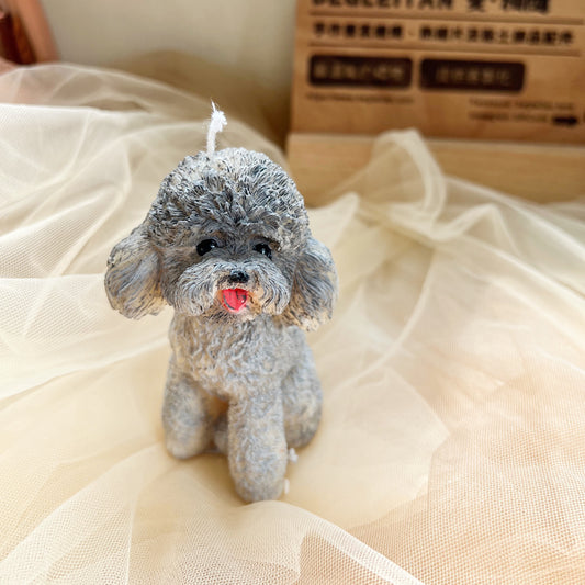 蓬鬆的貴賓犬蠟燭
