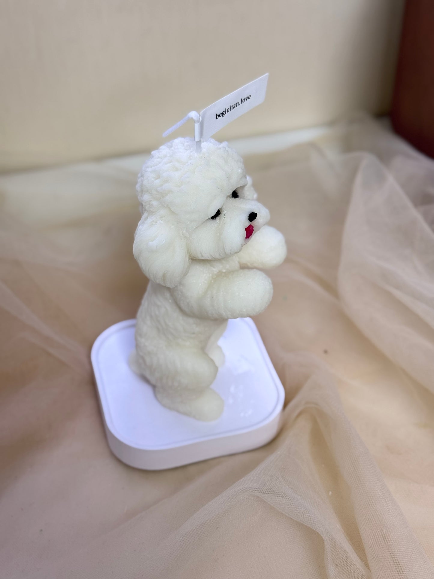 蓬鬆的貴富狗蠟燭