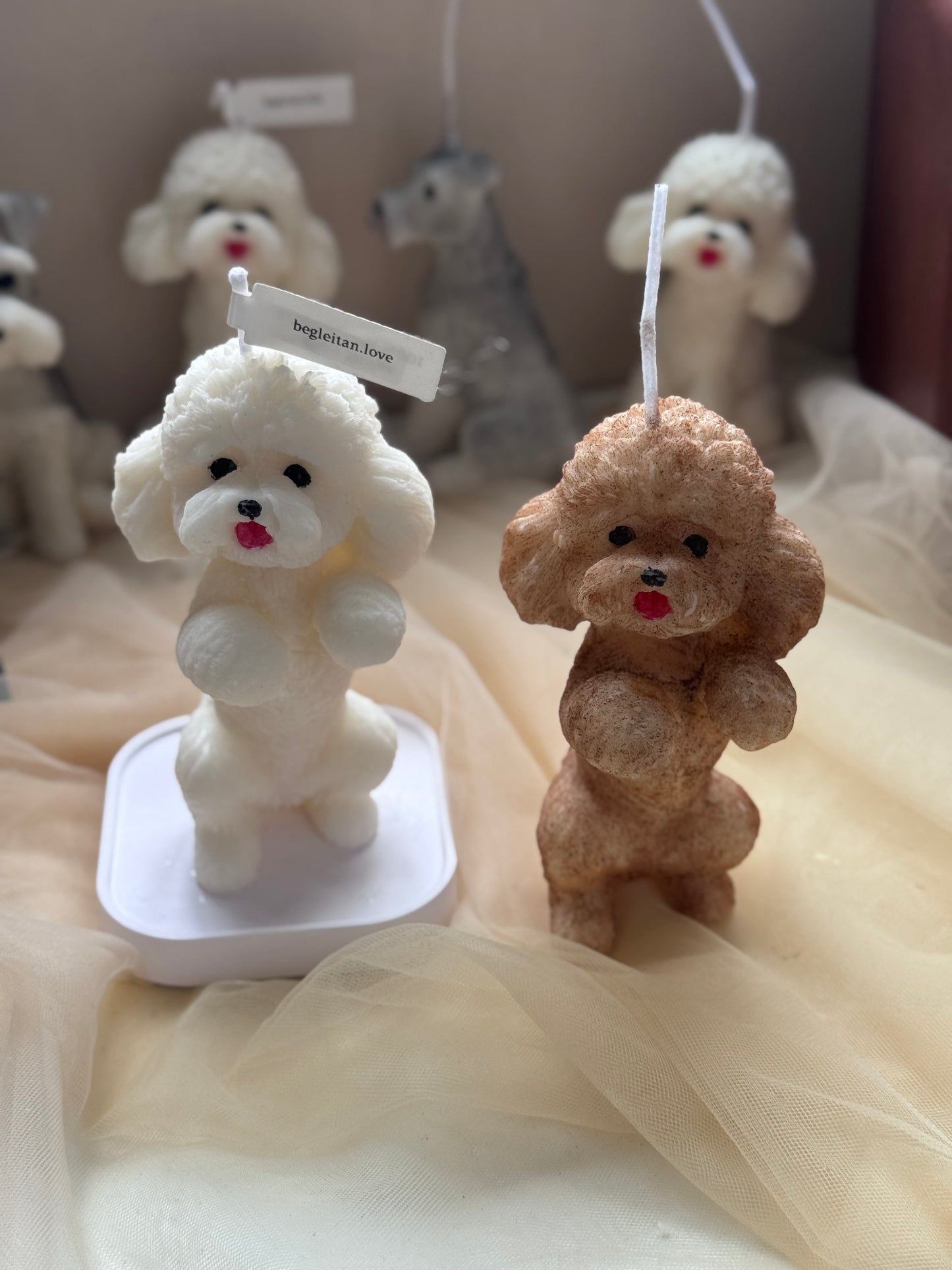 蓬鬆的貴富狗蠟燭