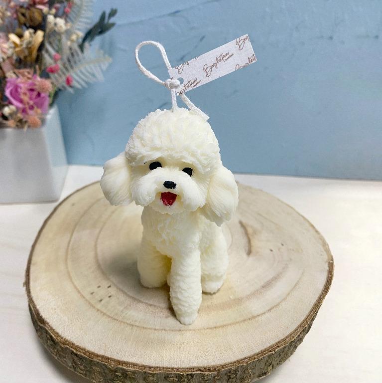 蓬鬆的貴賓犬蠟燭