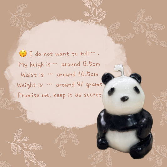 [Begleitan Exclusive]  ✨Handmade candles✨ Panda Noah