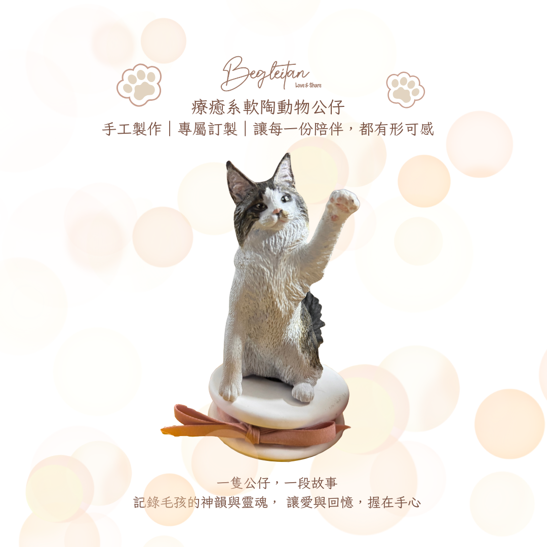 療癒系軟陶動物公仔｜專屬訂製毛孩陪伴禮 - 緬因貓
